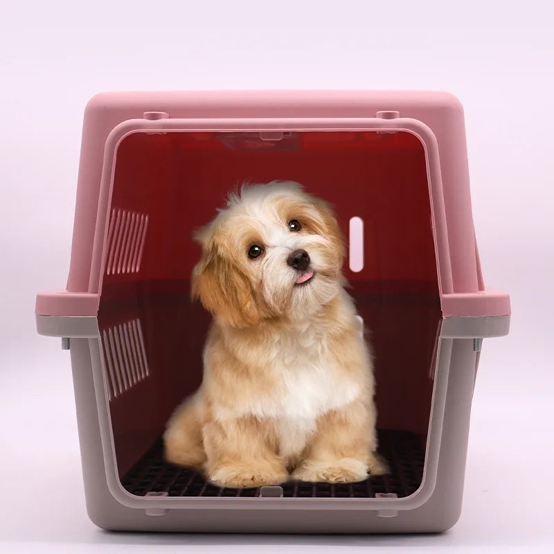 Airline Approved Pet Carrier for Cats & Small Dogs Portable Travel with Breathable Mesh Comfortable Pet Travel Box