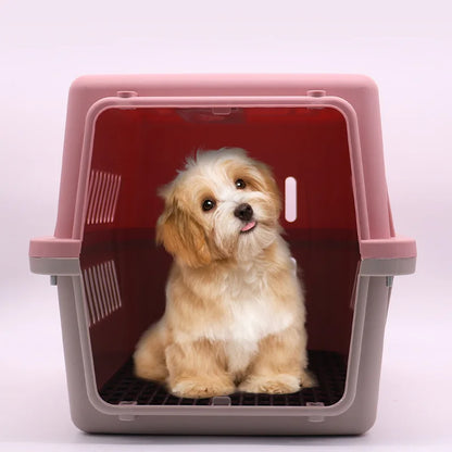 Airline Approved Pet Carrier for Cats & Small Dogs Portable Travel with Breathable Mesh Comfortable Pet Travel Box