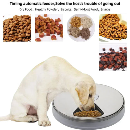 Practical 24H Automatic Pet Feeder - Round 6 Grids 6 Meals Timing Electric Dry Food Dispenser for Cats & Dogs Essential Supplies