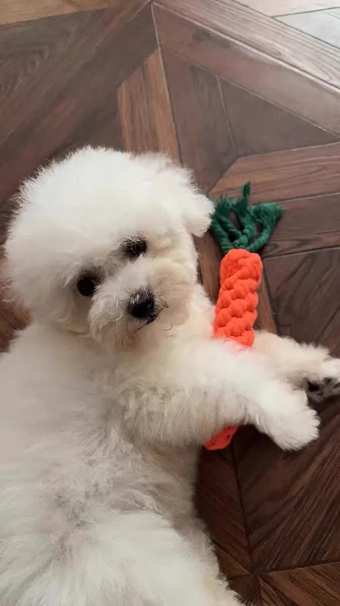 Pet toys, bite-resistant dog toys, self-relieving boredom, teething stick dog toys