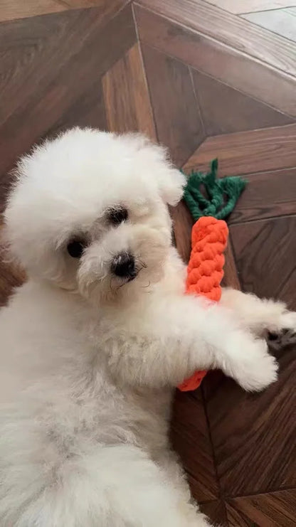 Pet toys, bite-resistant dog toys, self-relieving boredom, teething stick dog toys